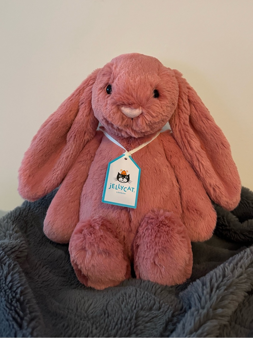 Jellycat Sorrel Bashful Bunny BNWT
